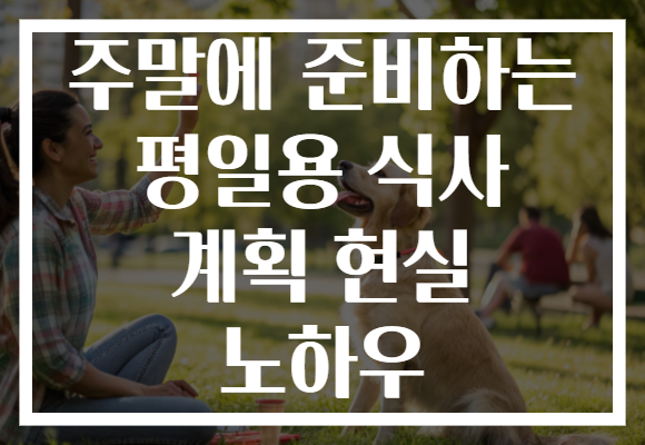 주말에 준비하는 평일용 식사 계획 현실 노하우