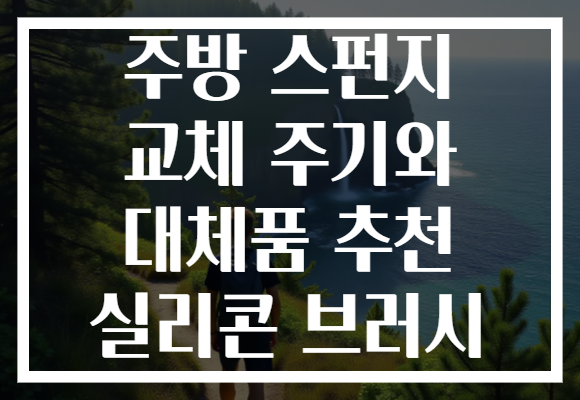 주방 스펀지 교체 주기와 대체품 추천 실리콘 브러시 주방 스펀지 교체 주기와 대체품 추천 실리콘 브러시
