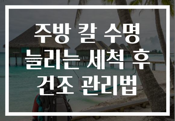 주방 칼 수명 늘리는 세척 후 건조 관리법 주방 칼 수명 늘리는 세척 후 건조 관리법