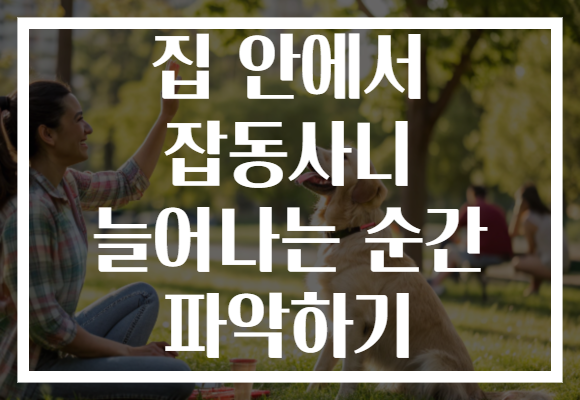 집 안에서 잡동사니 늘어나는 순간 파악하기