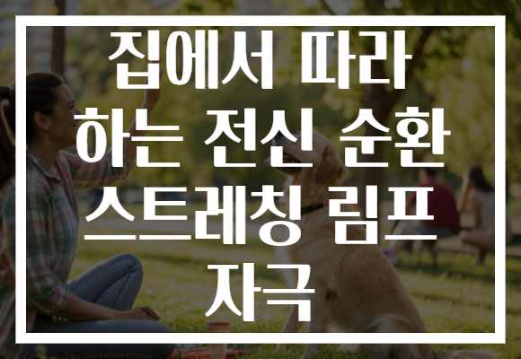 집에서 따라 하는 전신 순환 스트레칭 림프 자극