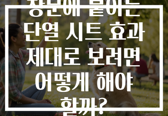 창문에 붙이는 단열 시트 효과 제대로 보려면 어떻게 해야 할까? 창문에 붙이는 단열 시트 효과 제대로 보려면 어떻게 해야 할까?