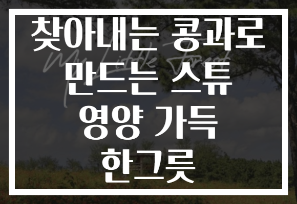 찾아내는 콩과로 만드는 스튜 영양 가득 한그릇