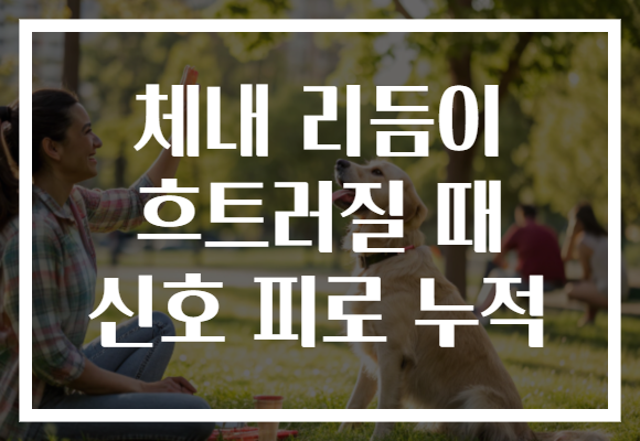 체내 리듬이 흐트러질 때 신호 피로 누적