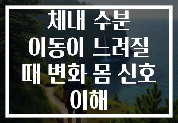 체내 수분 이동이 느려질 때 변화 몸 신호 이해