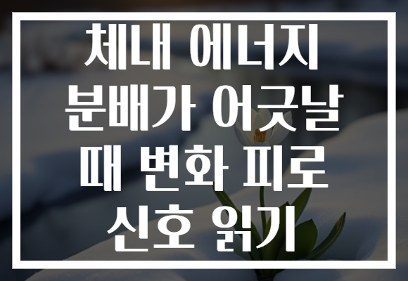 체내 에너지 분배가 어긋날 때 변화 피로 신호 읽기 체내 에너지 분배가 어긋날 때 변화 피로 신호 읽기