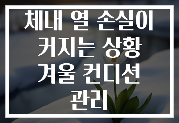 체내 열 손실이 커지는 상황 겨울 컨디션 관리