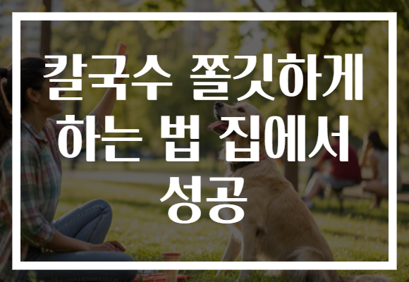 칼국수 쫄깃하게 하는 법 집에서 성공