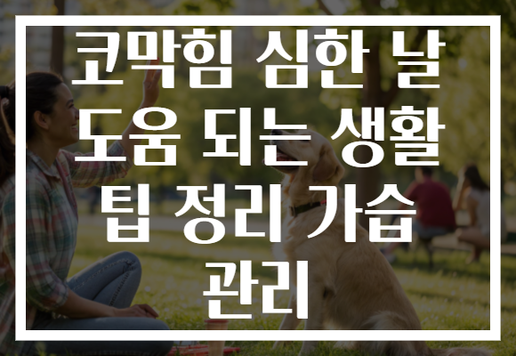 코막힘 심한 날 도움 되는 생활 팁 정리 가습 관리 코막힘 심한 날 도움 되는 생활 팁 정리 가습 관리