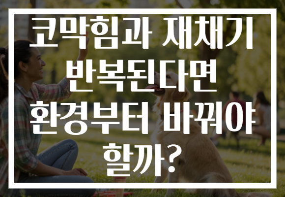 코막힘과 재채기 반복된다면 환경부터 바꿔야 할까?