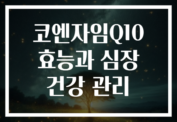코엔자임Q10 효능과 심장 건강 관리