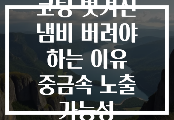 코팅 벗겨진 냄비 버려야 하는 이유 중금속 노출 가능성 코팅 벗겨진 냄비 버려야 하는 이유 중금속 노출 가능성