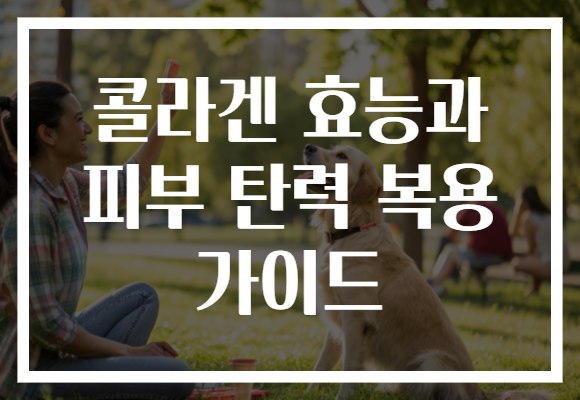 콜라겐 효능과 피부 탄력 복용 가이드