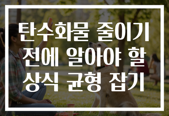 탄수화물 줄이기 전에 알아야 할 상식 균형 잡기