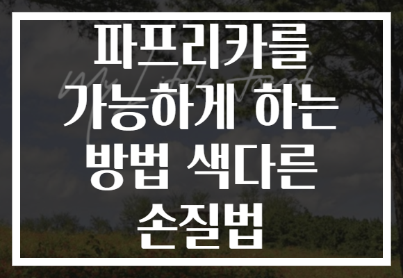 파프리카를 가능하게 하는 방법 색다른 손질법