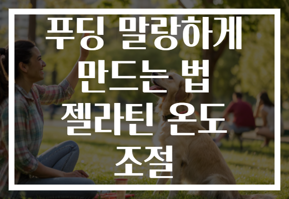 푸딩 말랑하게 만드는 법 젤라틴 온도 조절