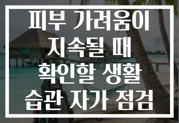 피부 가려움이 지속될 때 확인할 생활 습관 자가 점검