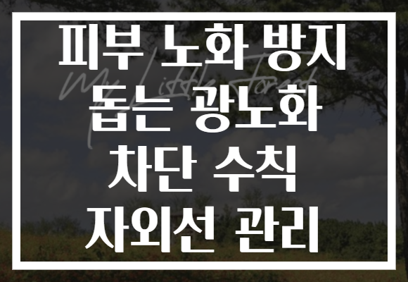 피부 노화 방지 돕는 광노화 차단 수칙 자외선 관리