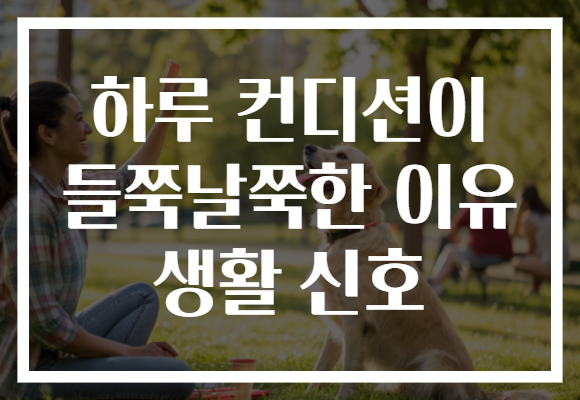 하루 컨디션이 들쭉날쭉한 이유 생활 신호