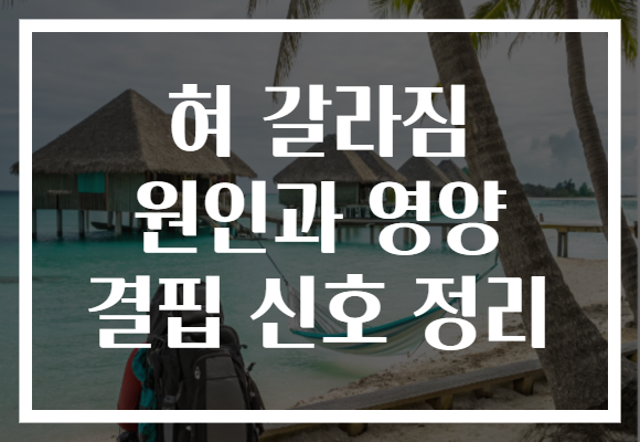 혀 갈라짐 원인과 영양 결핍 신호 정리