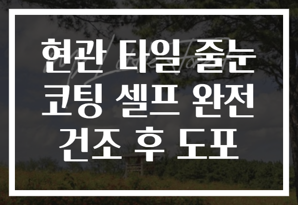 현관 타일 줄눈 코팅 셀프 완전 건조 후 도포 현관 타일 줄눈 코팅 셀프 완전 건조 후 도포