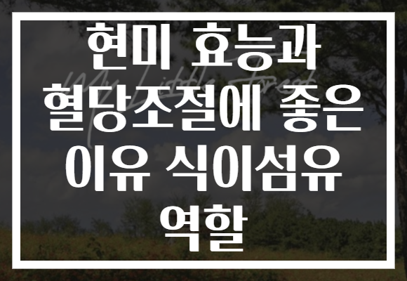 현미 효능과 혈당조절에 좋은 이유 식이섬유 역할
