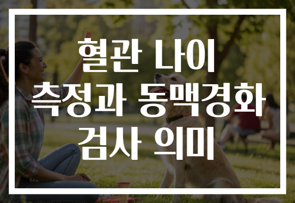 혈관 나이 측정과 동맥경화 검사 의미 혈관 나이 측정과 동맥경화 검사 의미