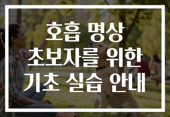 호흡 명상 초보자를 위한 기초 실습 안내