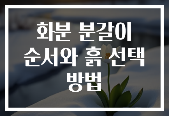 화분 분갈이 순서와 흙 선택 방법