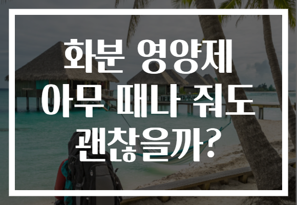 화분 영양제 아무 때나 줘도 괜찮을까? 화분 영양제 아무 때나 줘도 괜찮을까?