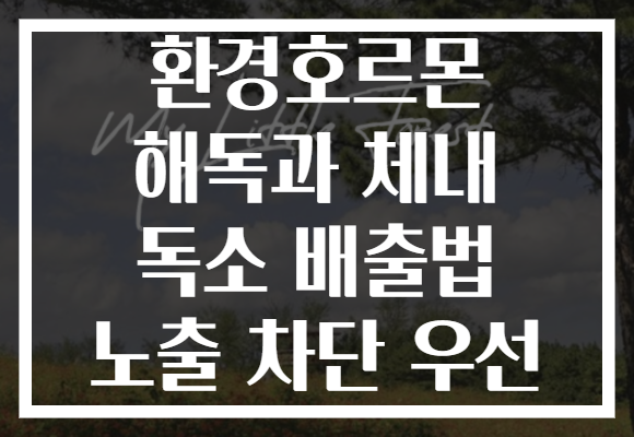환경호르몬 해독과 체내 독소 배출법 노출 차단 우선