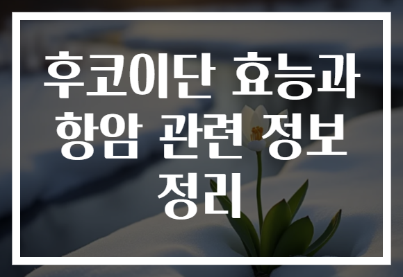후코이단 효능과 항암 관련 정보 정리