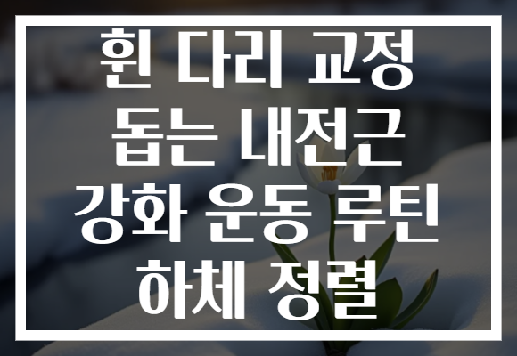 휜 다리 교정 돕는 내전근 강화 운동 루틴 하체 정렬 휜 다리 교정 돕는 내전근 강화 운동 루틴 하체 정렬