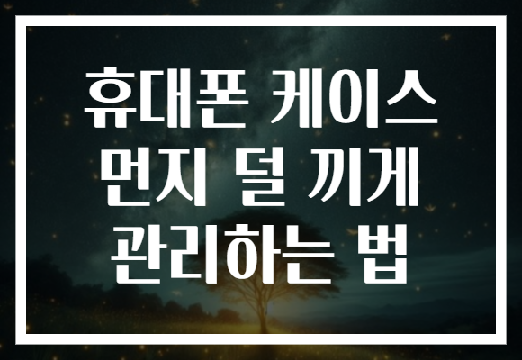 휴대폰 케이스 먼지 덜 끼게 관리하는 법