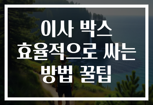 이사 박스 효율적으로 싸는 방법 꿀팁 이사 박스 효율적으로 싸는 방법 꿀팁