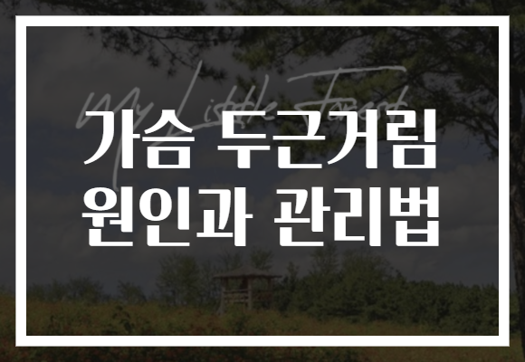 가슴 두근거림 원인과 관리법 가슴 두근거림 원인과 관리법