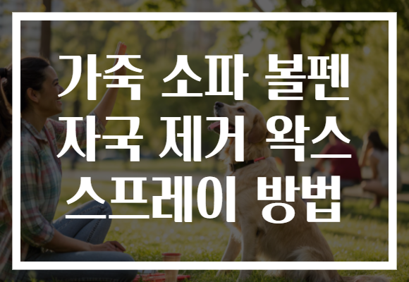 가죽 소파 볼펜 자국 제거 왁스 스프레이 방법