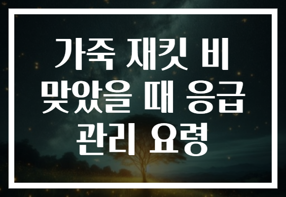 가죽 재킷 비 맞았을 때 응급 관리 요령 가죽 재킷 비 맞았을 때 응급 관리 요령