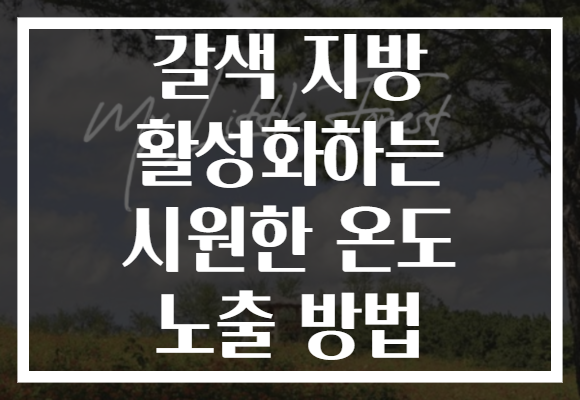 갈색 지방 활성화하는 시원한 온도 노출 방법