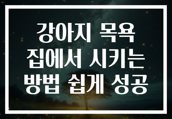 강아지 목욕 집에서 시키는 방법 쉽게 성공