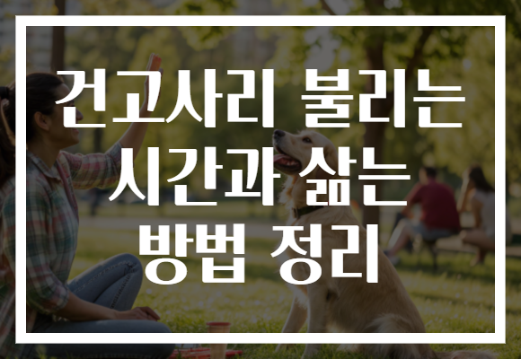 건고사리 불리는 시간과 삶는 방법 정리