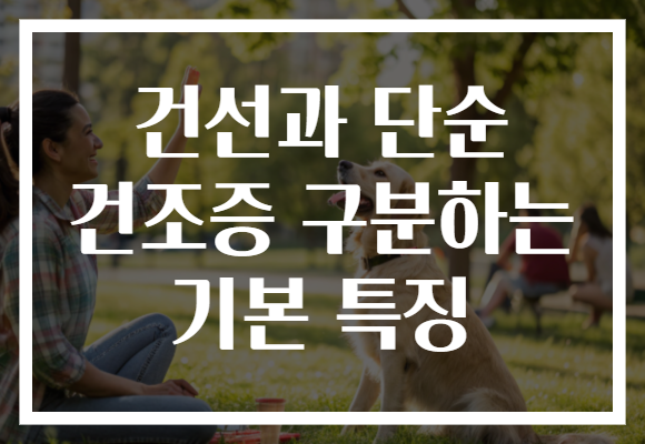 건선과 단순 건조증 구분하는 기본 특징