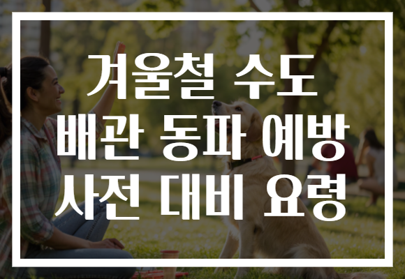 겨울철 수도 배관 동파 예방 사전 대비 요령 겨울철 수도 배관 동파 예방 사전 대비 요령