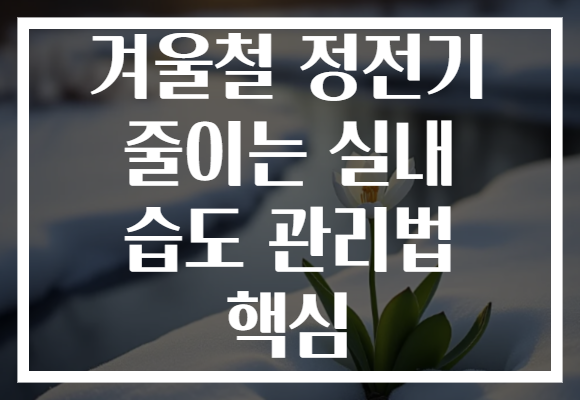 겨울철 정전기 줄이는 실내 습도 관리법 핵심