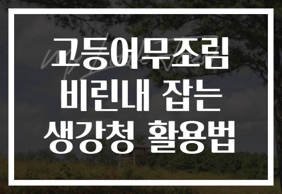 고등어무조림 비린내 잡는 생강청 활용법