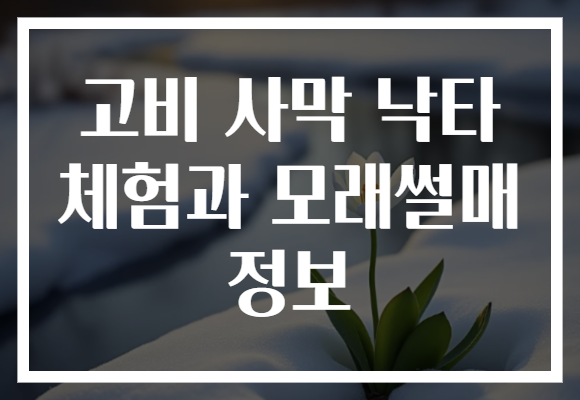 고비 사막 낙타 체험과 모래썰매 정보