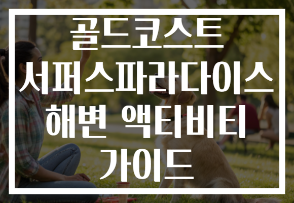 골드코스트 서퍼스파라다이스 해변 액티비티 가이드