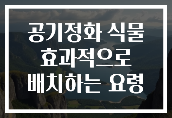 공기정화 식물 효과적으로 배치하는 요령