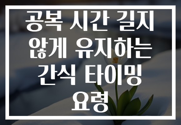 공복 시간 길지 않게 유지하는 간식 타이밍 요령