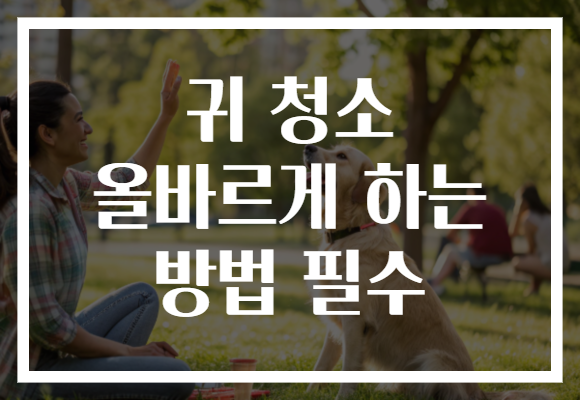 귀 청소 올바르게 하는 방법 필수